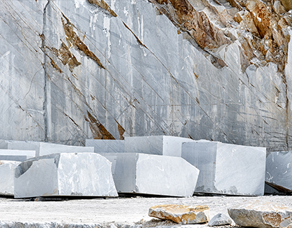 Jiangsu Xinysheng Scultura Co., Ltd.