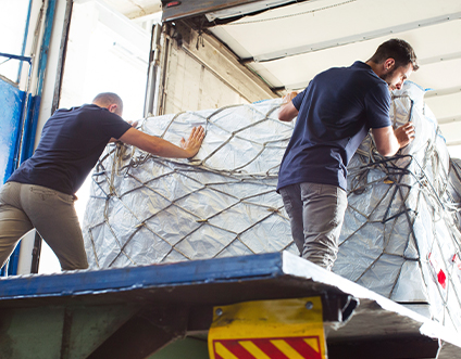 Jiangsu Xinysheng Scultura Co., Ltd.